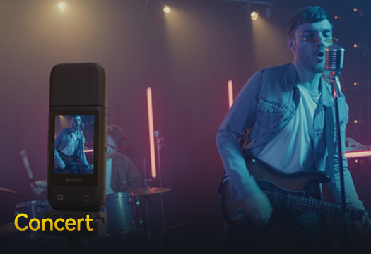 Concert